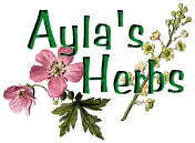 Aylas Herbs - from The AuelPage and Jean M. Auels Earths Children series.